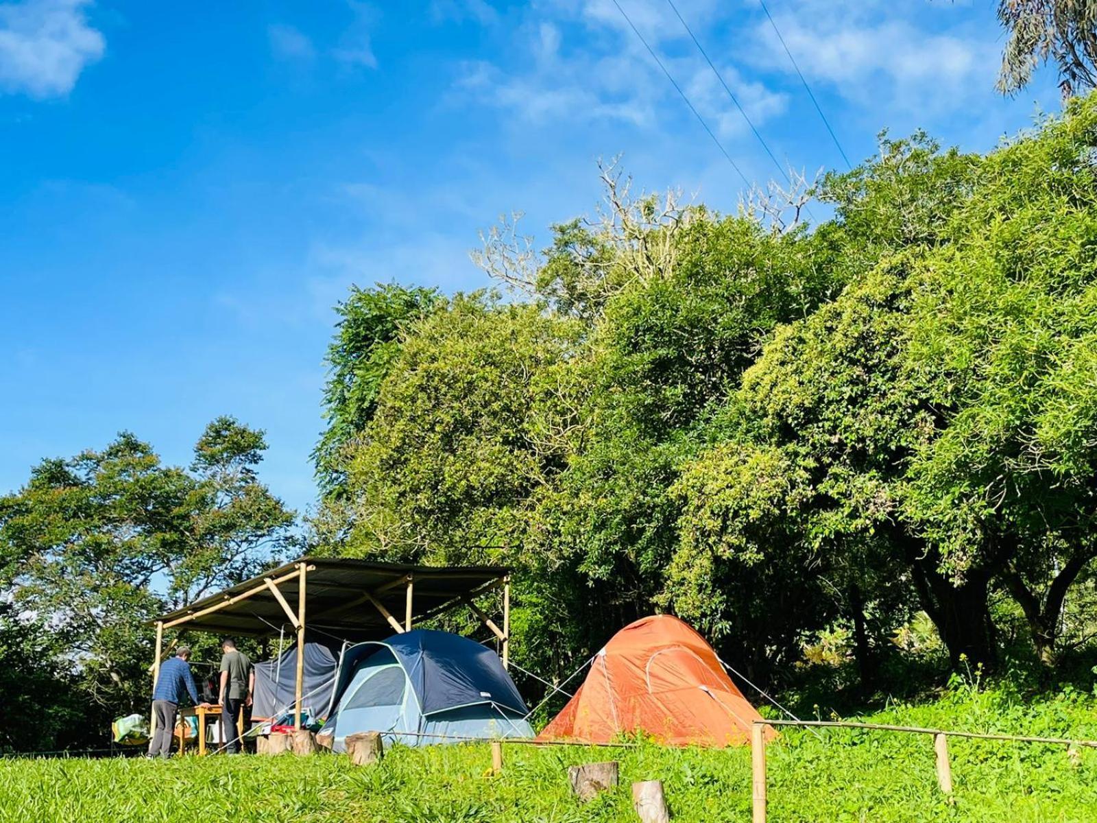 Refugio Explora Verde Чоачи Экстерьер фото